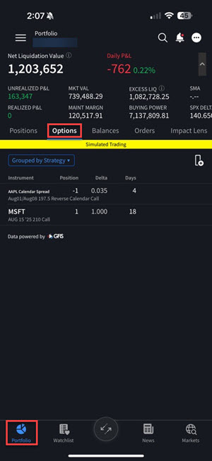 The portfolio options tab on the iphone